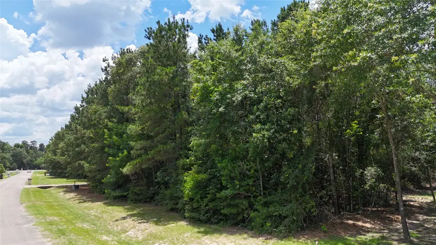 8524 Crown Lake Court, Montgomery, TX 77316 - #3