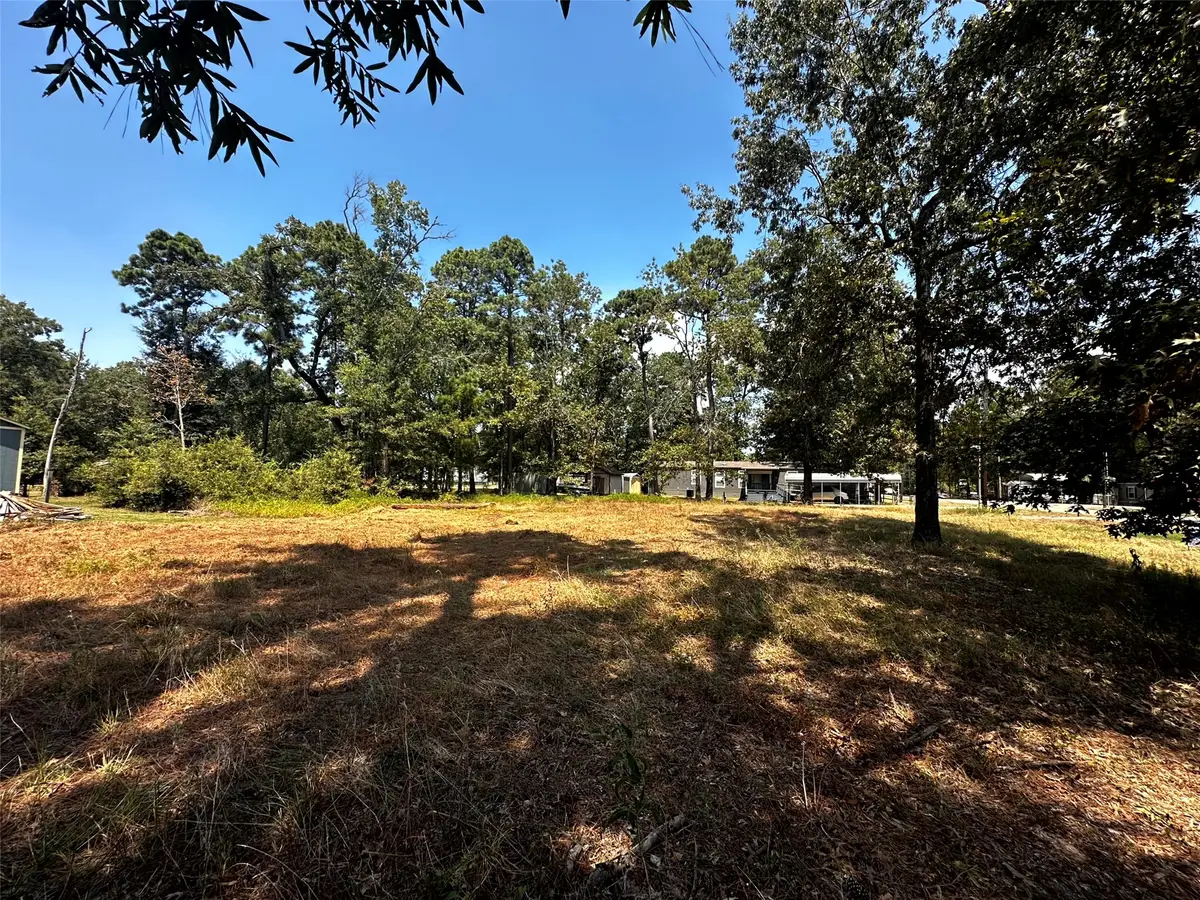 170 Tobago Lane, Point Blank, TX 77364 - #1
