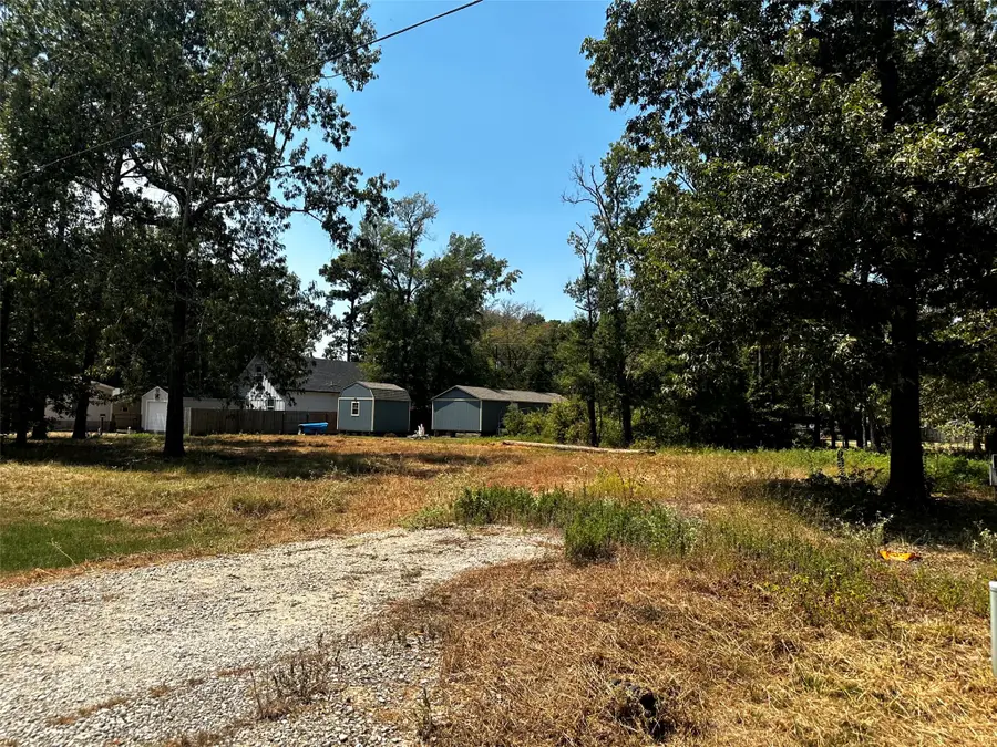 170 Tobago Lane, Point Blank, TX 77364 - #2