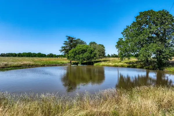 8101 W Parkison Lane Lane W, Brenham, WA 77833