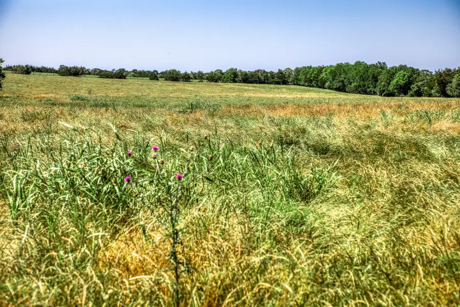 8101 W Parkison Lane Lane W, Brenham, WA 77833 - #2