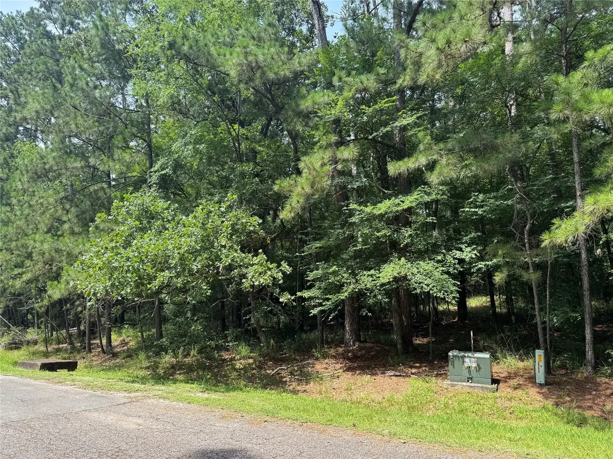 75 Green Tree Drive, Coldspring, TX 77331 - Image #1