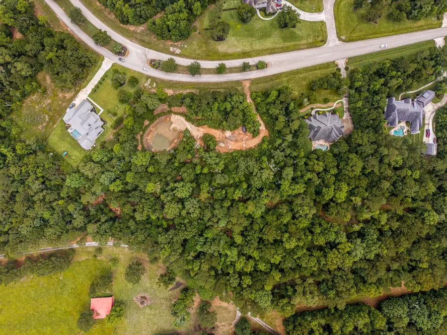 23510 High Meadow Estates Drive, Montgomery, TX 77316 - #2