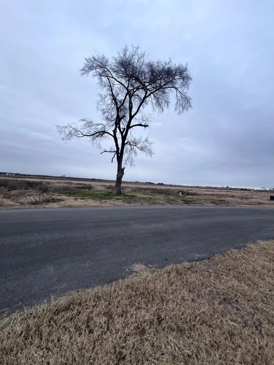 Lot 9 Richland Cove, Corsicana, TX 75109 - Image #2