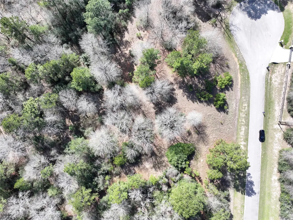 0 Steeplechase Parkway, Waller, TX 77484 - Image #1