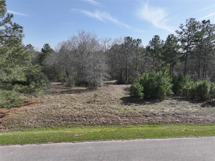 0 Steeplechase Parkway, Waller, TX 77484 - Image #2