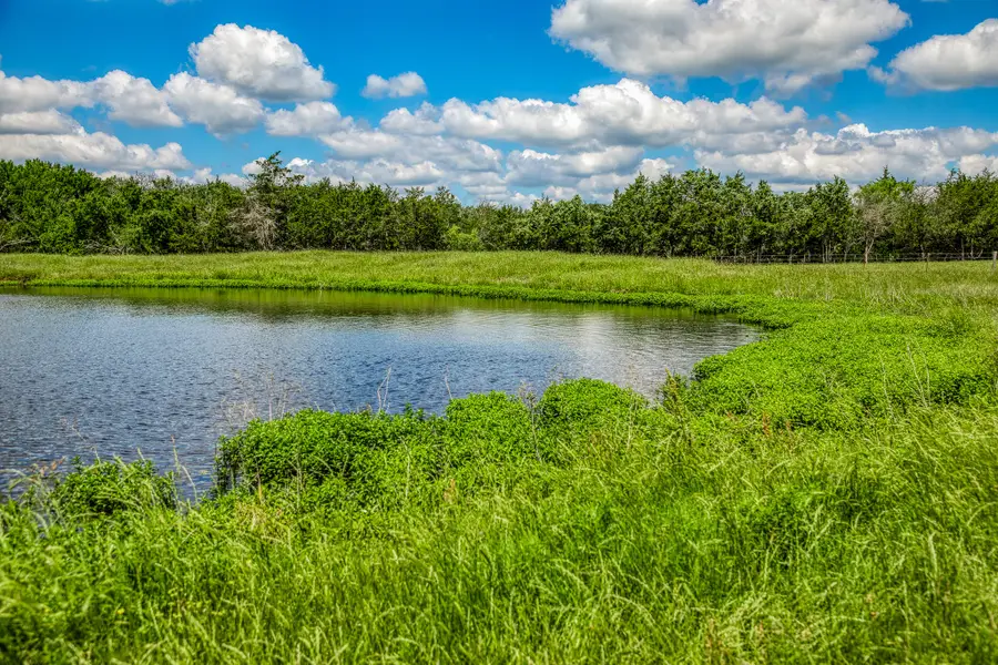 1850 Lcr 439, Personville, TX 76667 - Image #2