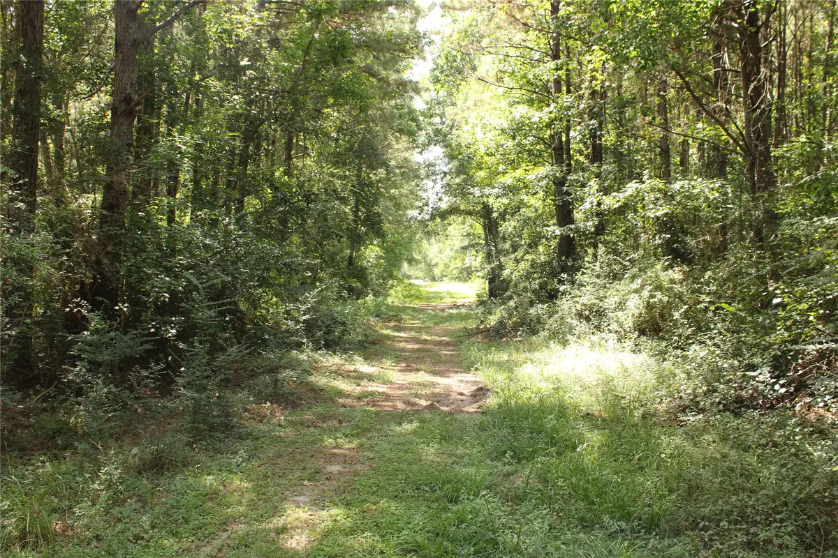 TBD 10th Street, Shepherd, TX 77371 - Image #1