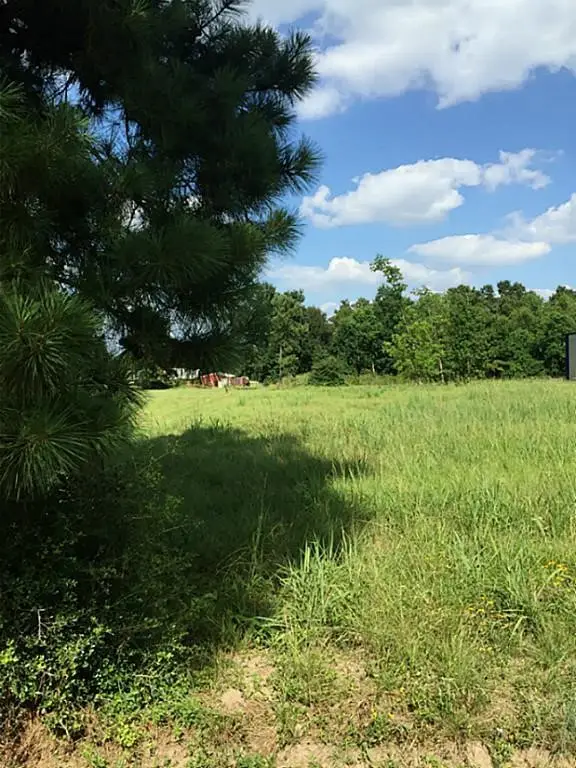 00 Rudolph Road Road, Tomball, TX 77375 - #2