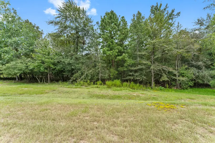 6464 Rolling Oak Drive, Montgomery, TX 77316 - #2