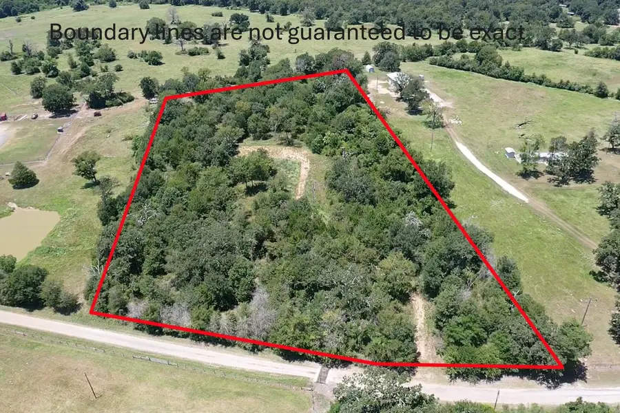 1224 S State Street, Madisonville, TX 77864 - #2