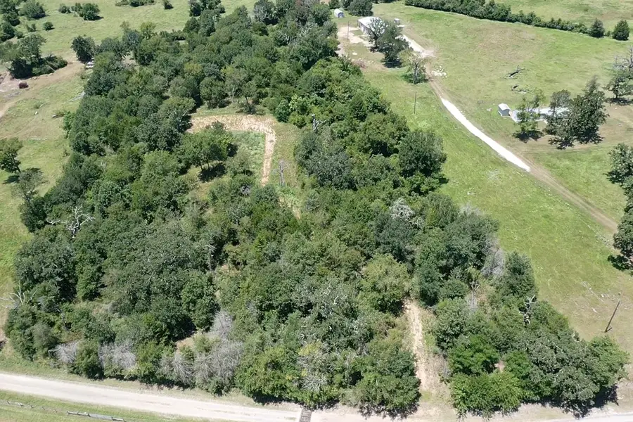 1224 S State Street, Madisonville, TX 77864 - #3