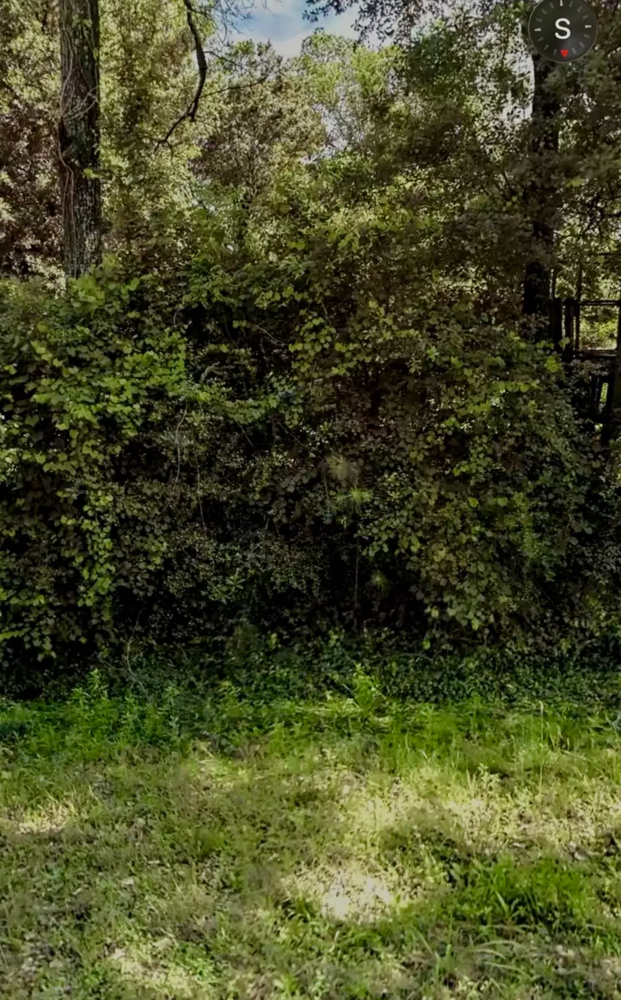 407 Pin Oak Drive, Highlands, TX 77562 - #3