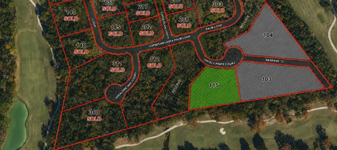 115 Chateau Pines Court, Montgomery, TX 77316 - #1