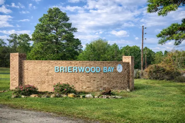 0 Ebtide Drive, Frankston, TX 75763