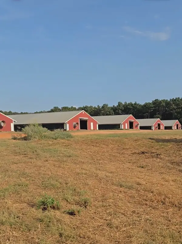 2094 County Road 848, Cushing, TX 75760
