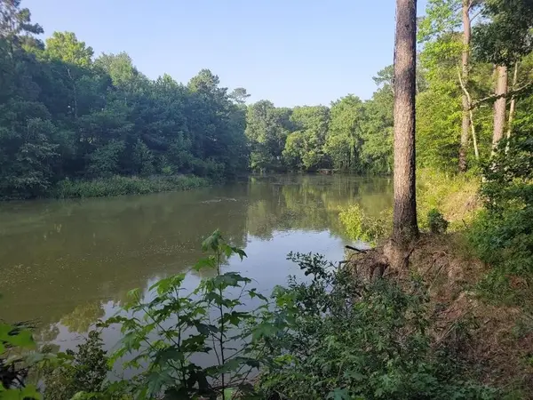 24831 River Terrace Road, Huffman, TX 77336