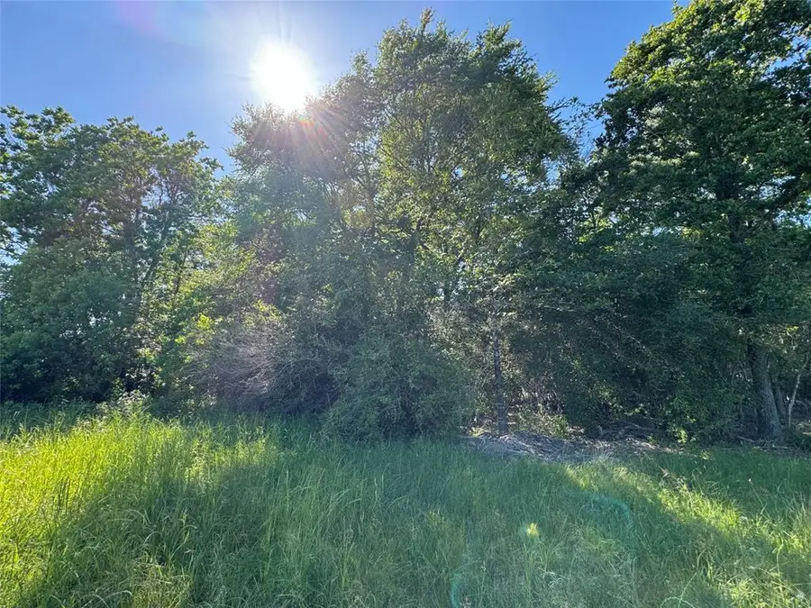 44 Greenway Drive, Trinity, TX 75862 - Image #3