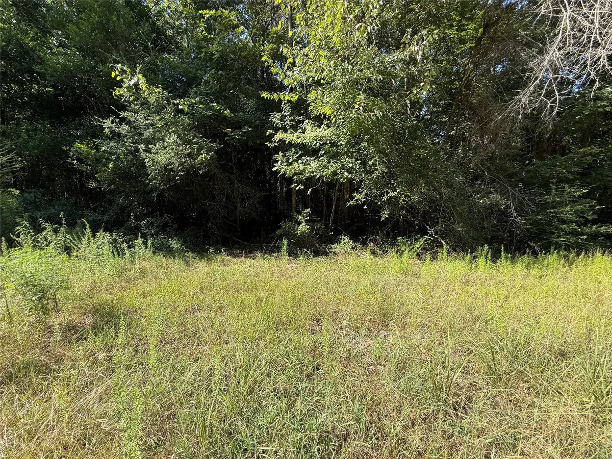 TBD 2681 Road 2682, Cleveland, TX 77327 - Image #1