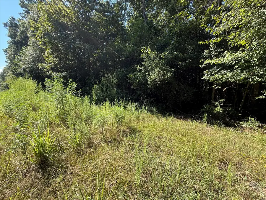 TBD 2681 Road 2682, Cleveland, TX 77327 - Image #3