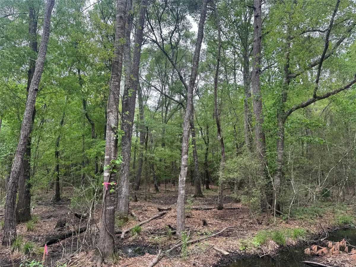 15800 Largent Drive, Plantersville, TX 77363 - Image #1