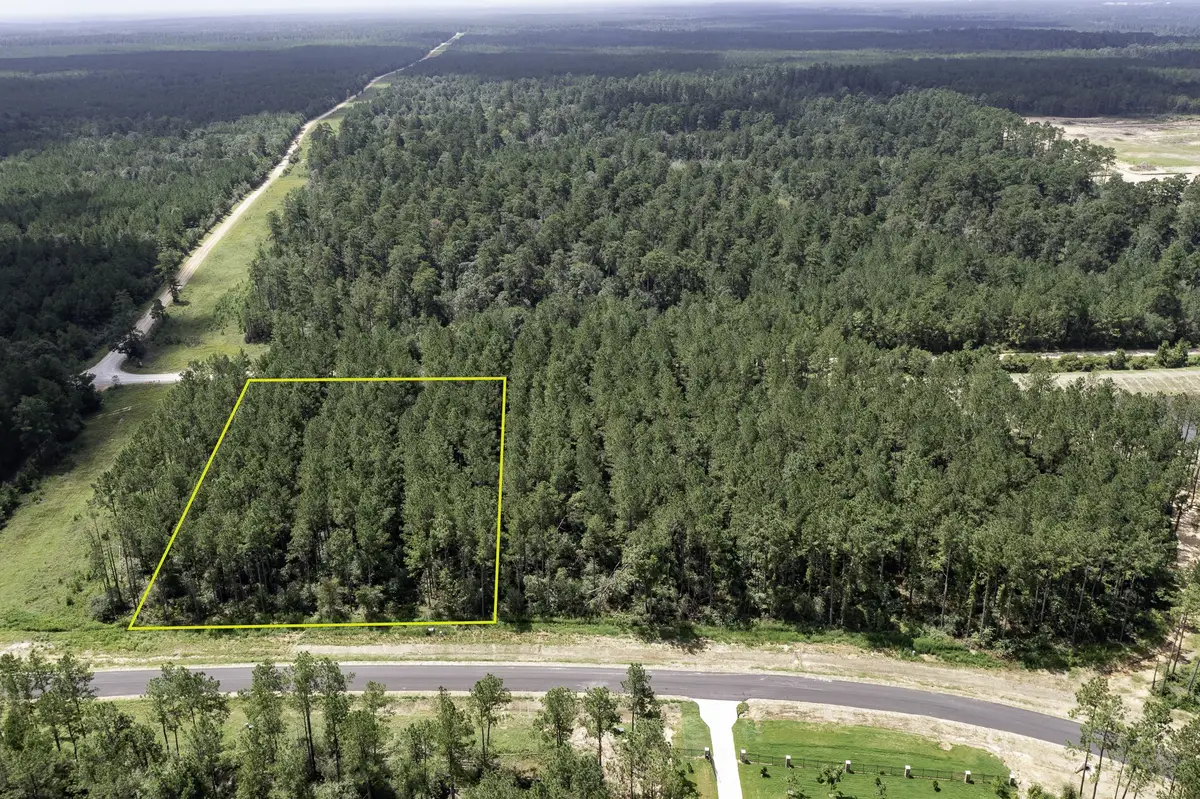 15285 Forest Grove Drive, Willis, TX 77378 - #1