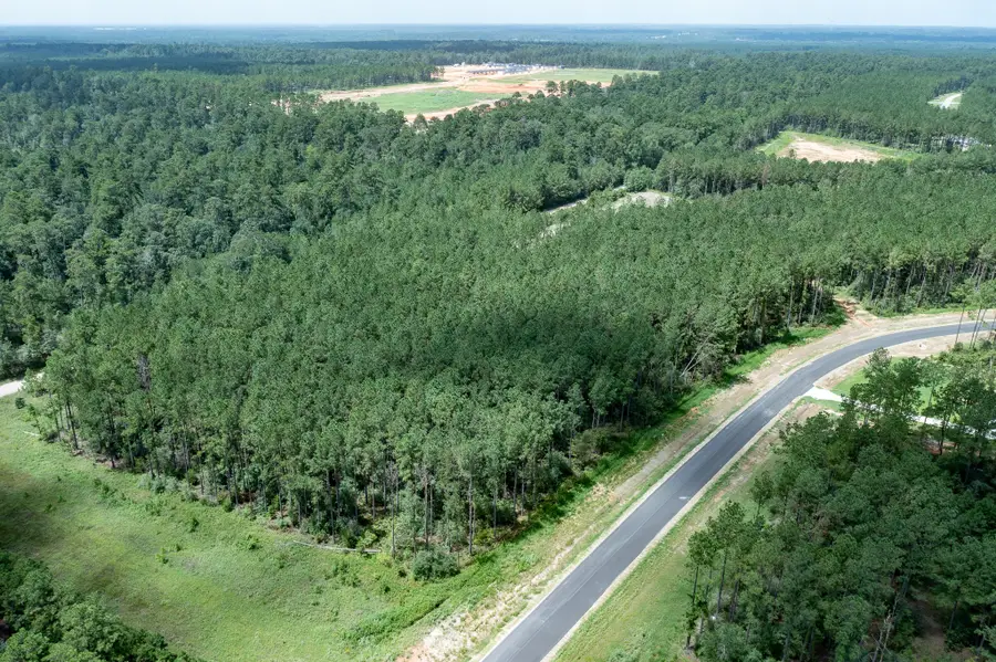 15285 Forest Grove Drive, Willis, TX 77378 - #3