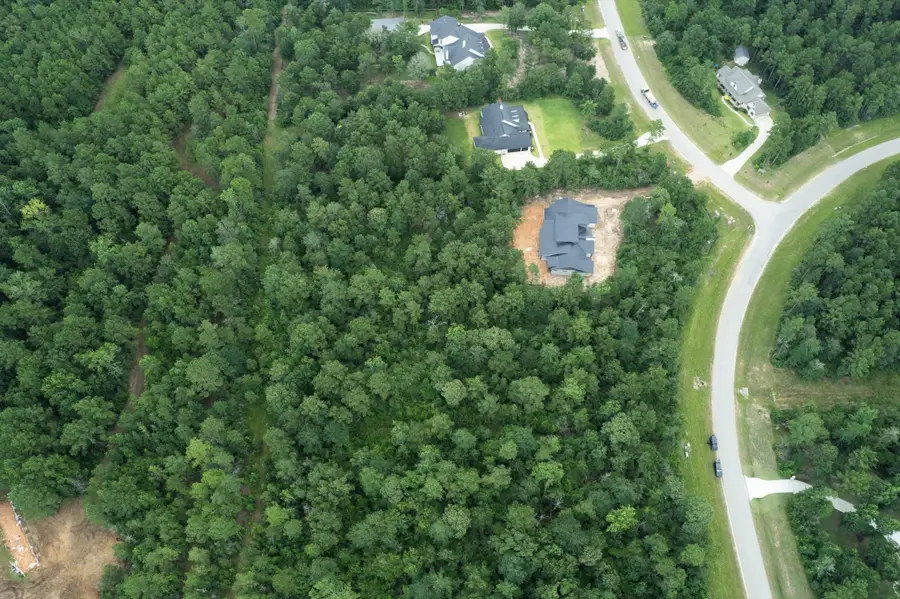 15806 Republic Ranch Road N, Willis, TX 77378 - #3