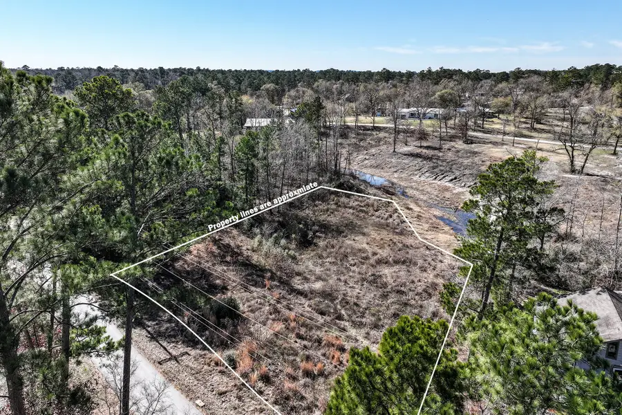 6 Lakeshore Lane, Riverside, TX 77320 - #3