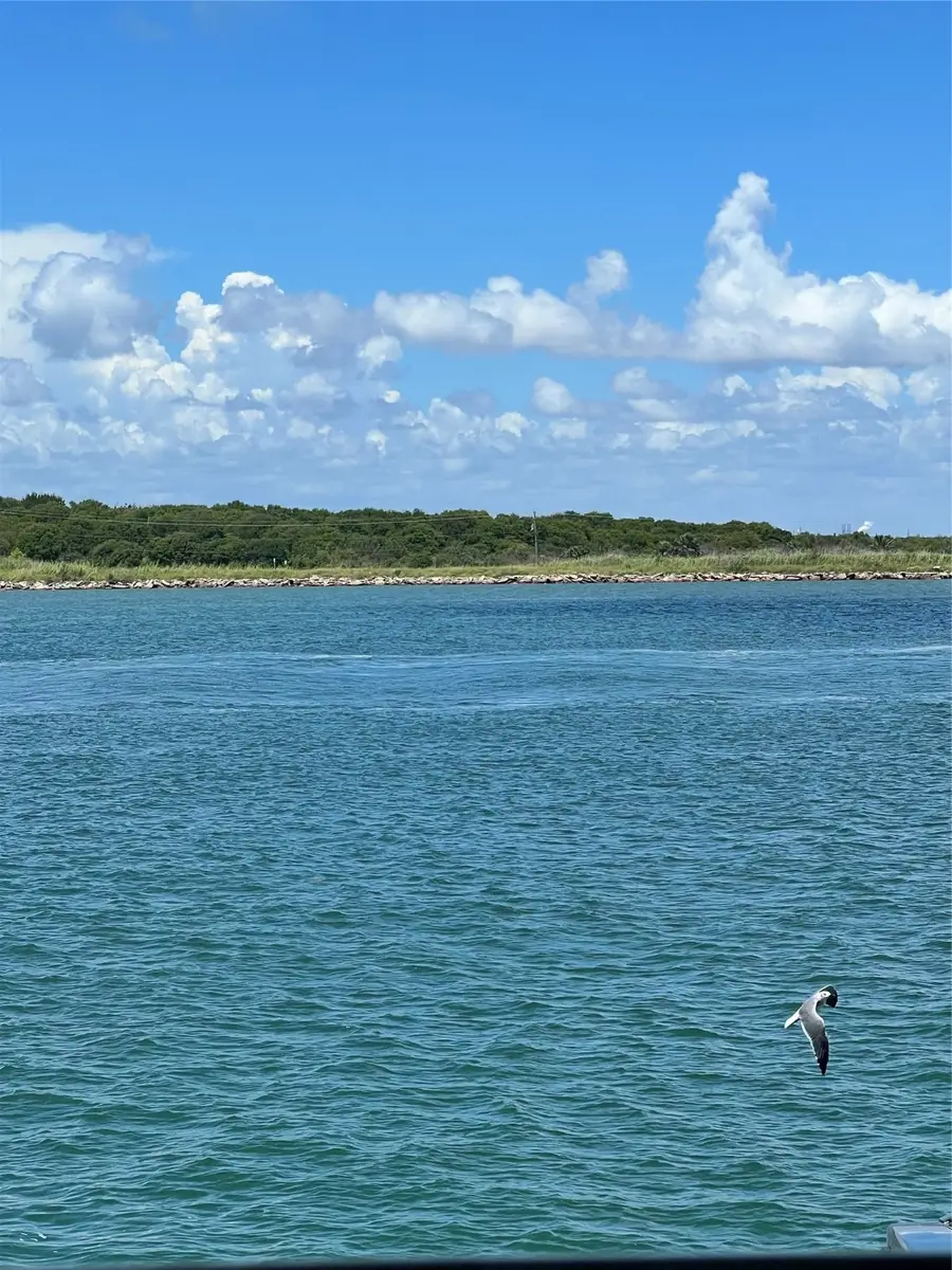 1290 N North Tinkle Lane, Crystal Beach, TX 77650 - #2