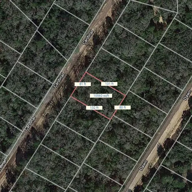 Lot 6 Cardinal, Normangee, TX 77871 - Image #2