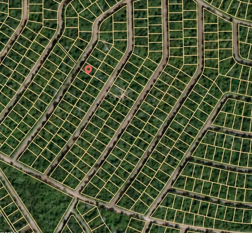 Lot 6 Cardinal, Normangee, TX 77871 - Image #3