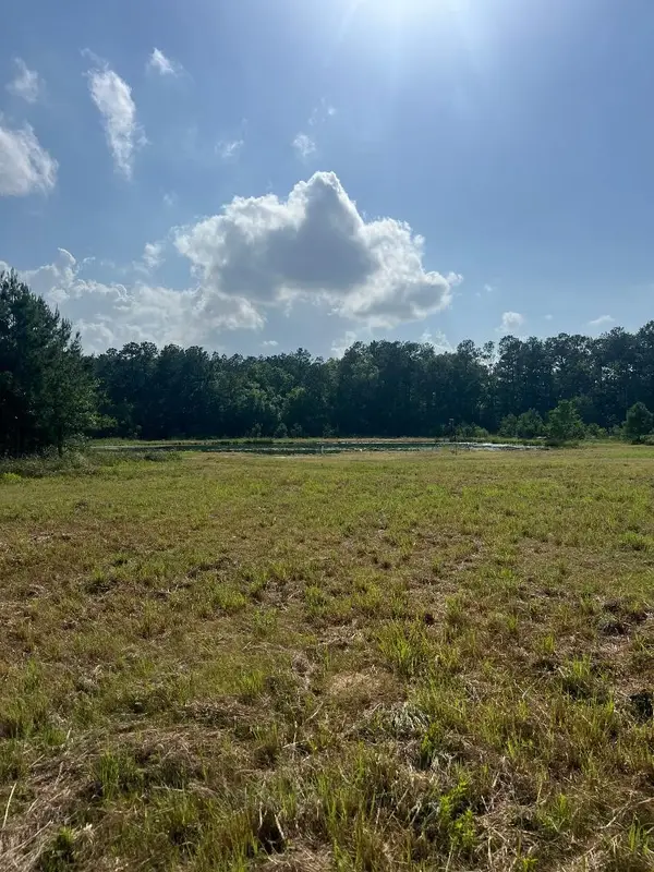 24980 Blackburn Dr, Splendora, TX 77372