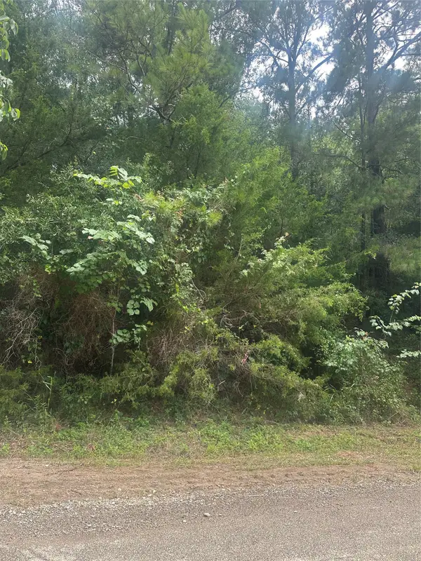 TBD Cedar Valley Drive, Coldspring, TX 77331
