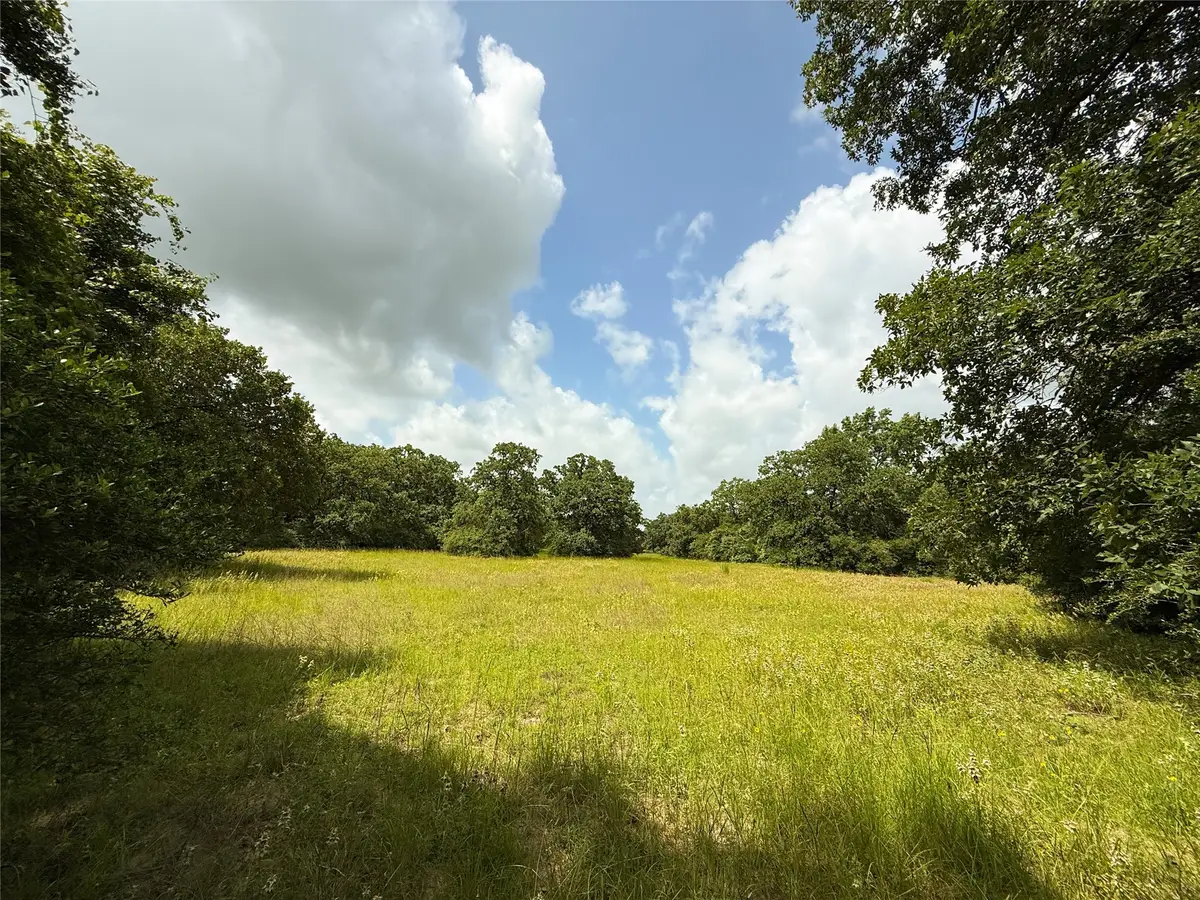 TBD Tract 9 County Road 261, Oakwood, TX 75855 - Image #1