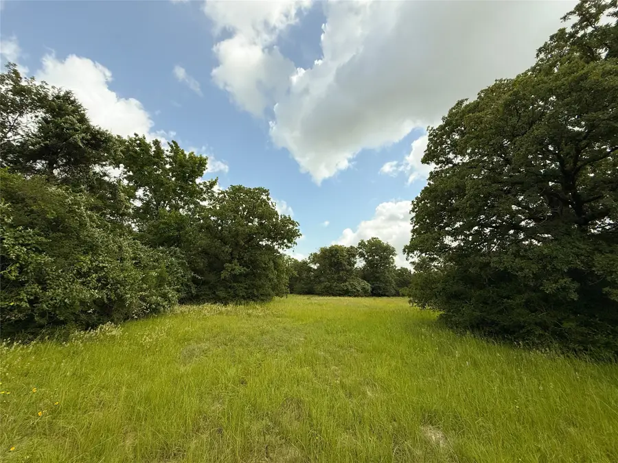 TBD Tract 9 County Road 261, Oakwood, TX 75855 - Image #3