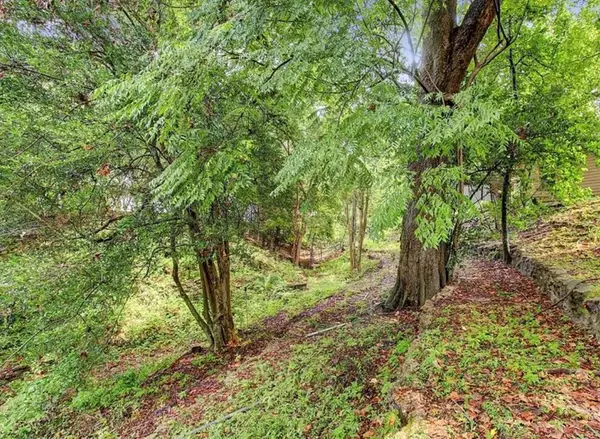 1231 Bay Oaks Road, Houston, TX 77008