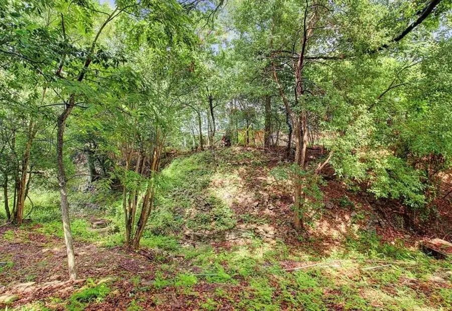 1231 Bay Oaks Road, Houston, TX 77008 - #2