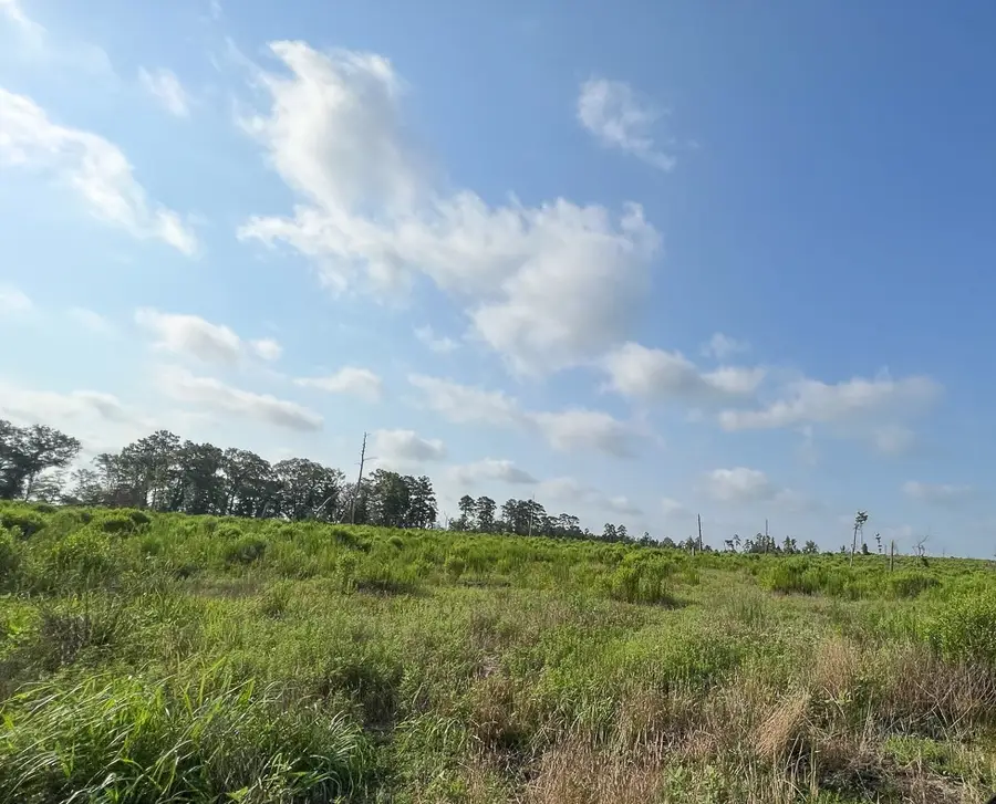 0 Fm 2989, Huntsville, TX 77320 - #2