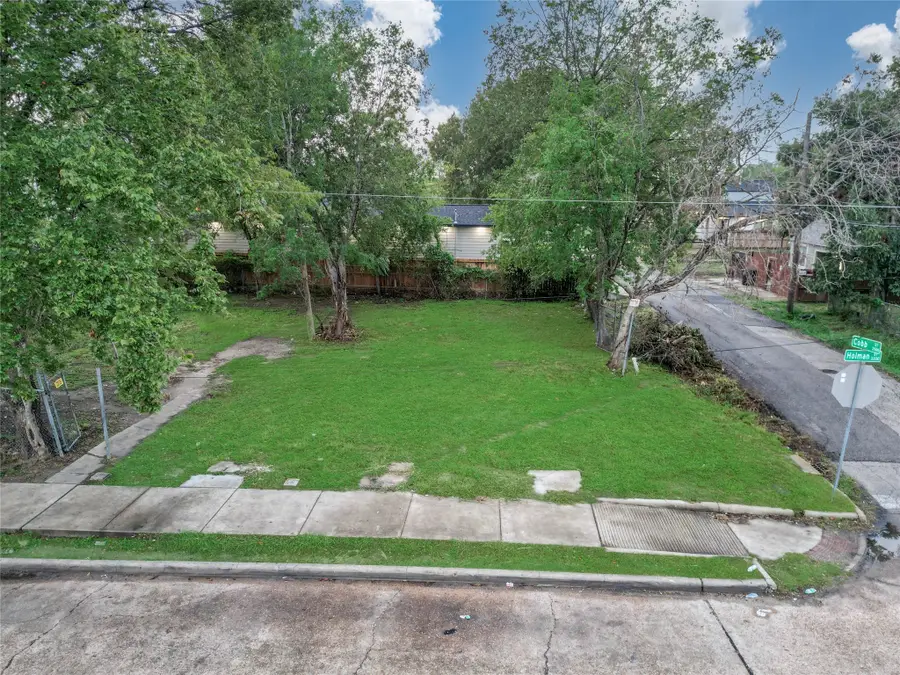 3350 Holman Street, Houston, TX 77004 - Image #3