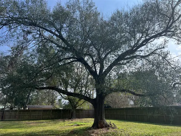 11206 Cedarwood Drive, Humble, TX 77338