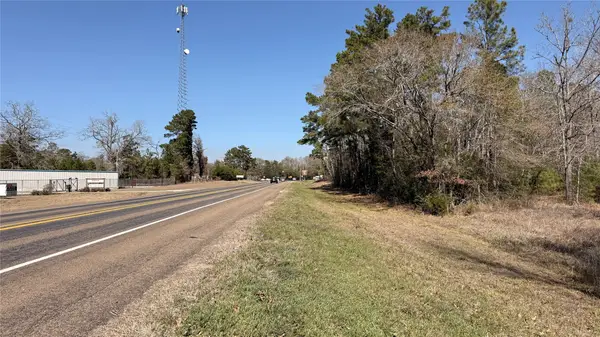 00 State Highway 156, POINTBLANK, TX 77364