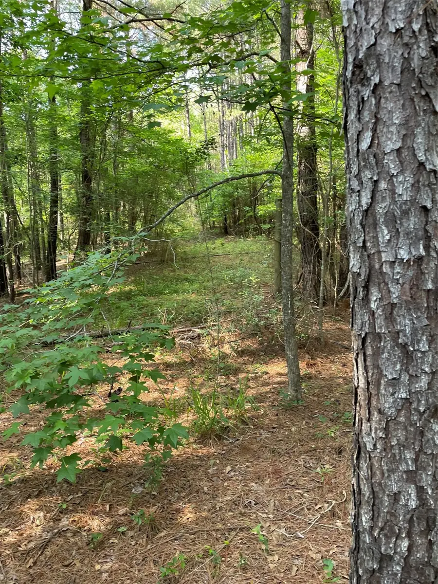 2 Us Highway 190 E Drive, Huntsville, TX 77340 - Image #3