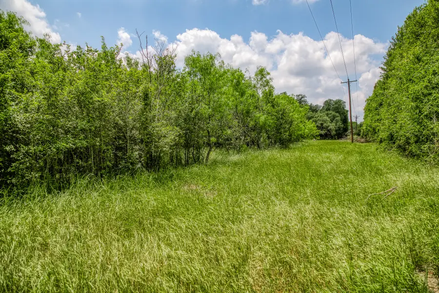 10366 County Road 276, Somerville, TX 77879 - Image #2