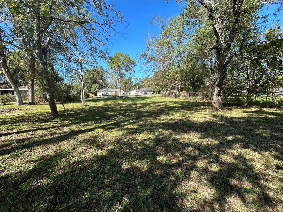 1106 Earley Street, Sweeny, TX 77480 - Image #2
