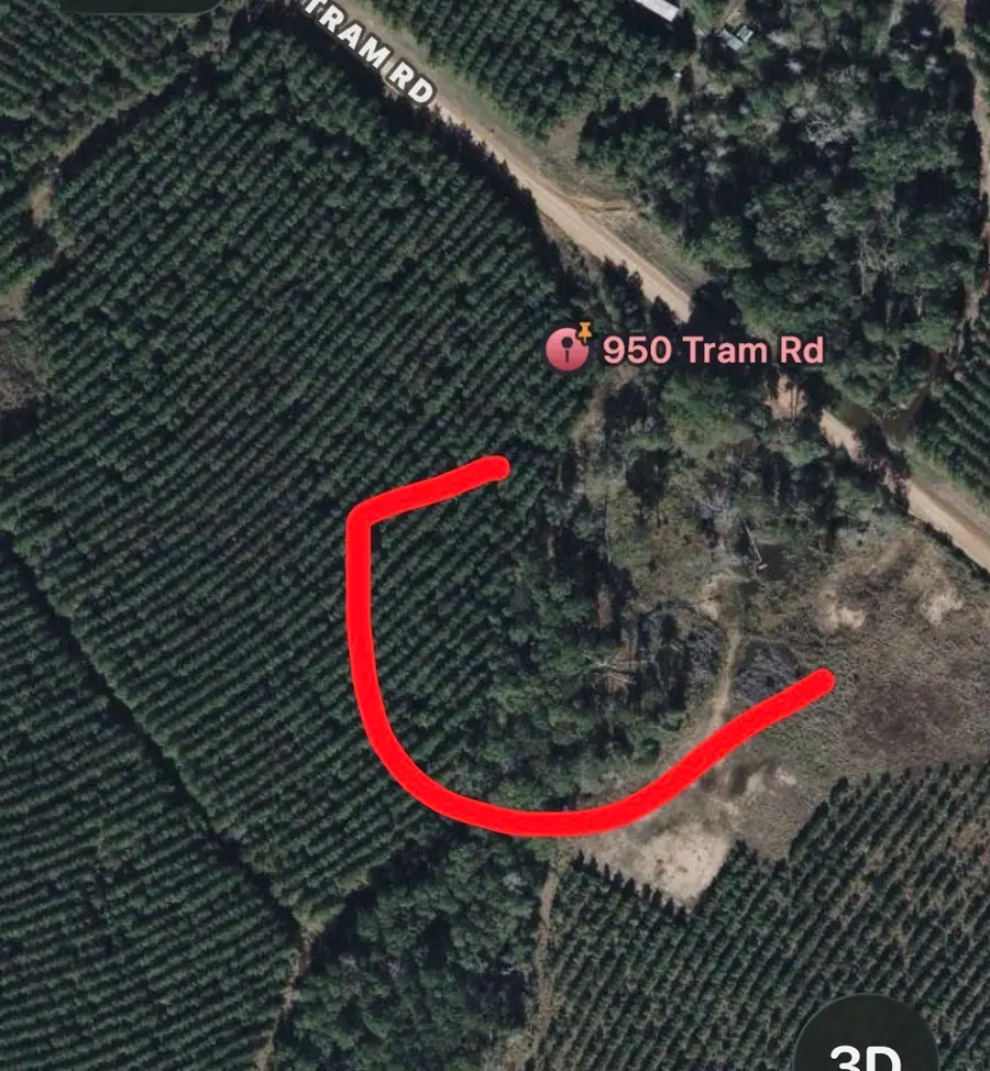 950 Tram Road, Livingston, TX 77351 - Image #3