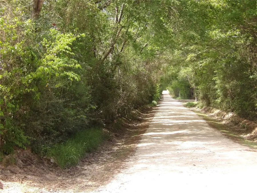 968 Cr 3490, Lovelady, TX 75851 - #3