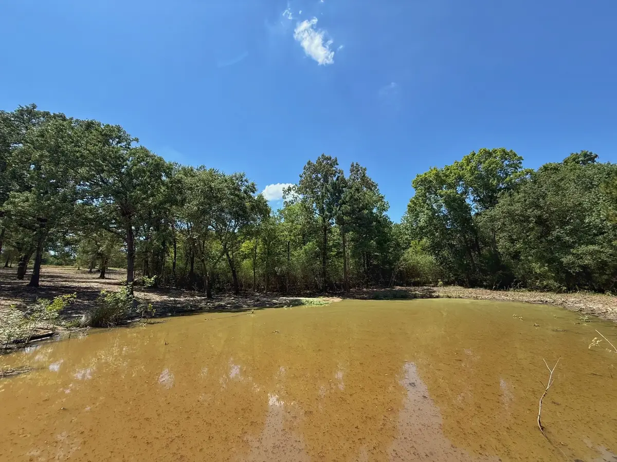 TBD Pr 1440, Centerville, TX 75833 - #1