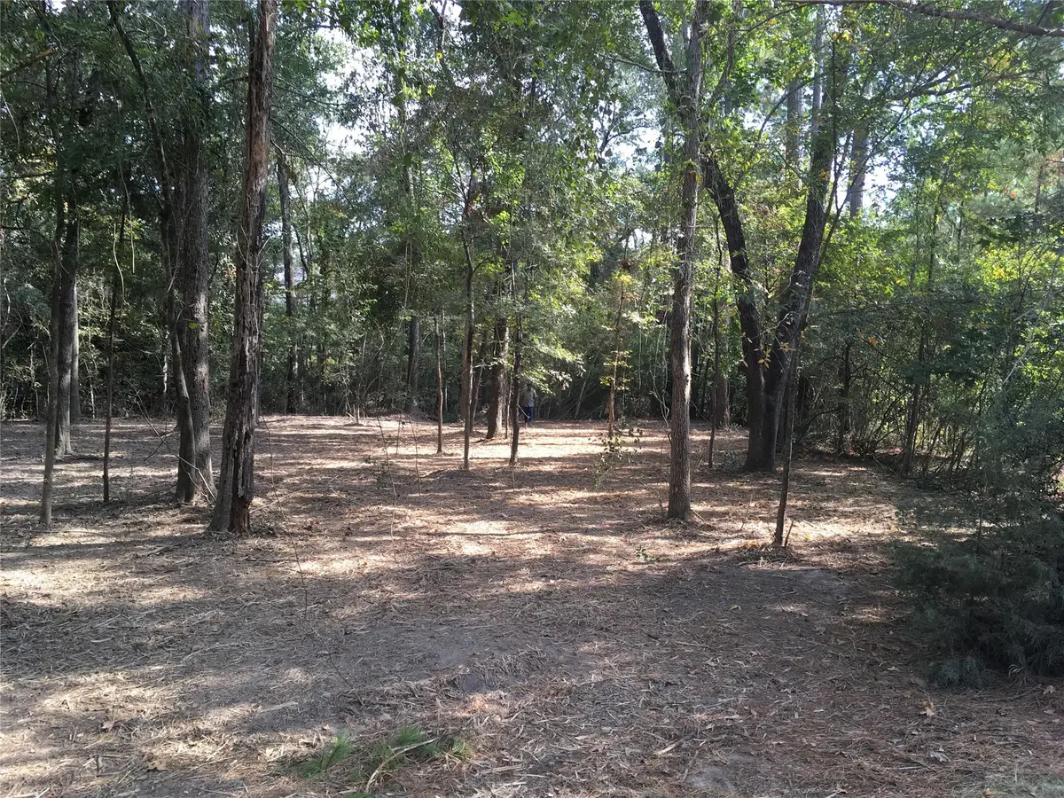 1930 Autumn Ridge Drive Drive, Conroe, TX 77304 - Image #1