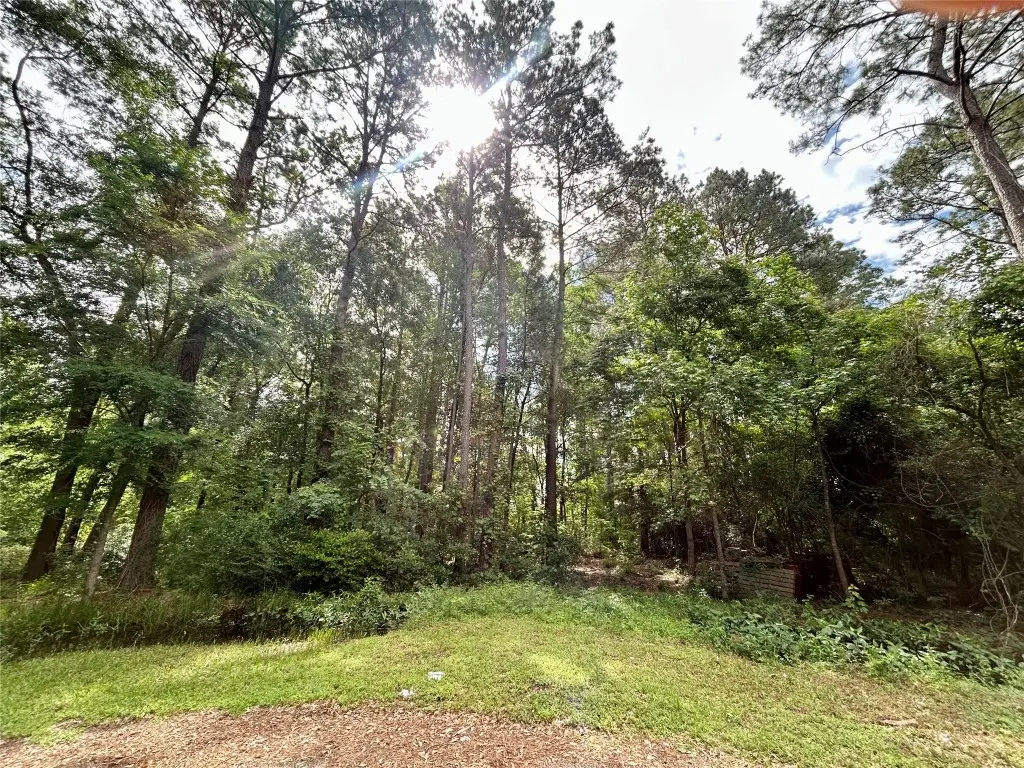 19356 Lady Bug, Porter, TX 77365 - #1